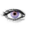 Monet Violet Colored Contact Lenses (1 pair)