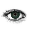 NEW YORK N DEEP GREEN Contact Lenses