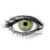 MONET GREEN Contact Lenses