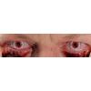 Blood Shot Contact Lenses (1 pair)