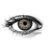 AMAZON GRAY Contact Lenses