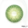 NEW YORK N GREEN Contact Lenses