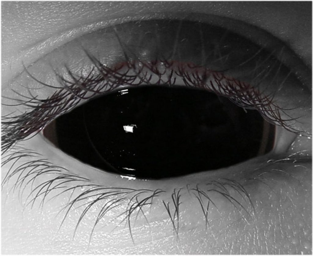 Black Sclera Contact Lenses (1 pair) - Lucifer - Sclera Contacts - SCLERA -LENSES.com