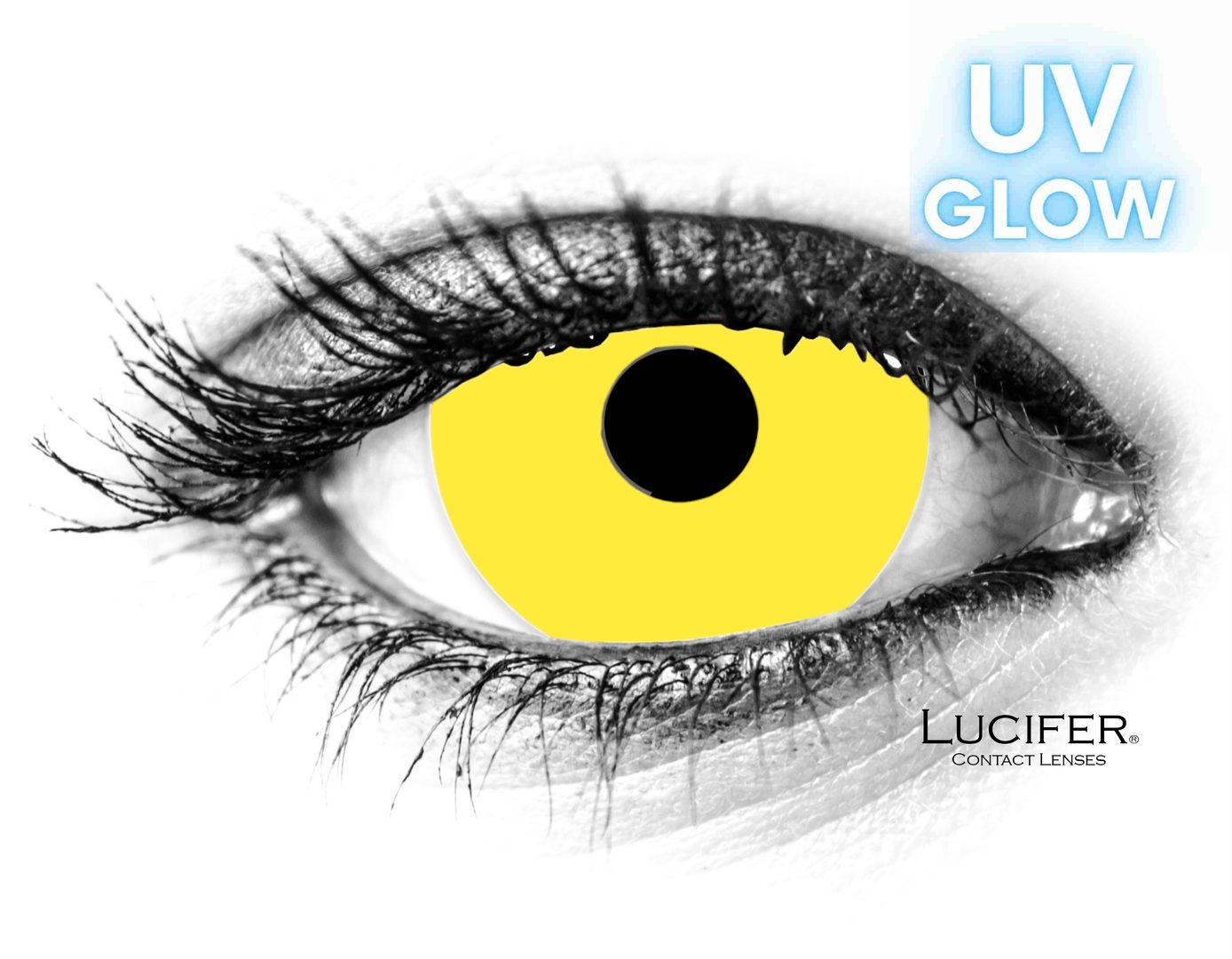UNION 12 CONTACT Black コンタクト Uni Color Contacts - SCLERA-LENSES.com