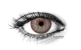 AVATAR BROWN Contact Lenses