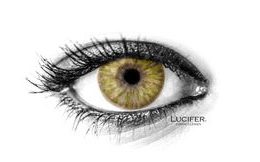 MONET BROWN Contact Lenses