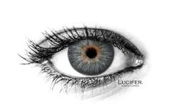 AVATAR GRAY Contact Lenses
