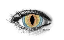BROWN LIZARD MINI SCLERA Contact Lenses