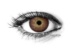 AMAZON BROWN Contact Lenses