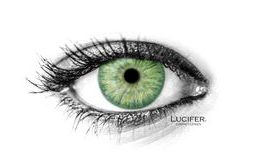 BROOKLYN GREEN Contact Lenses