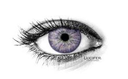 BROOKLYN VIOLET Contact Lenses