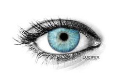 BROOKLYN BLUE Contact Lenses