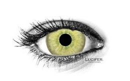 AVATAR MINI SCLERA Contact Lenses