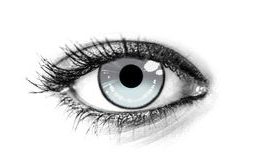 ANIME2 GRAY Contact Lenses