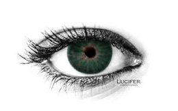 NEW YORK N DEEP GREEN Contact Lenses