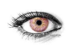 MONET PINK Contact Lenses