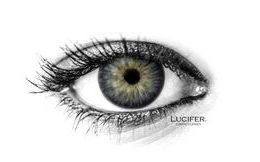 AMAZON GRAY Contact Lenses