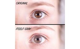 Barevné čočky (2 čočky) Itself Gray