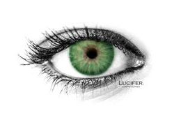NEW YORK N GREEN Contact Lenses