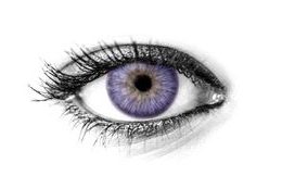 AVATAR VIOLET Contact Lenses