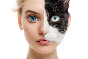 Animal Eye Contacts: Unleash Your Wild Side with Our Exotic Lenses