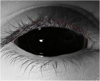 BLACK SCLERA Contact Lenses - Lucifer - Sclera Contacts - SCLERA-LENSES