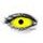 YELLOW SCLERA Contact Lenses