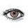 AVATAR BROWN Contact Lenses