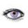 MONET VIOLET Contact Lenses