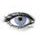 Avatar Blue Colored Contact Lenses (1 pair)