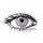 MONET GRAY Contact Lenses