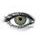 AVATAR GREEN Contact Lenses