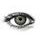 AMAZON GRAY Contact Lenses
