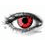 Vampire contact lenses