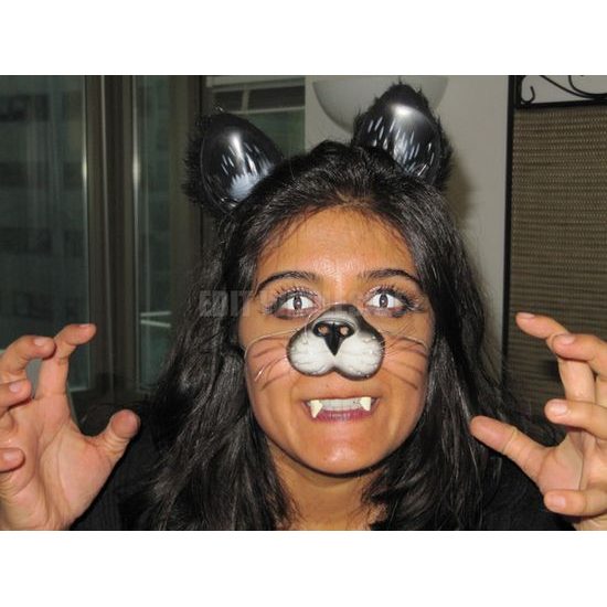 WHITE CAT Contact Lenses