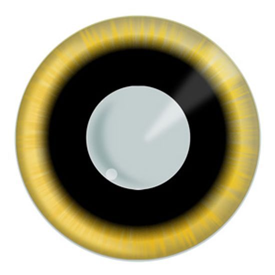 Eclipse Contact Lenses (1 pair)