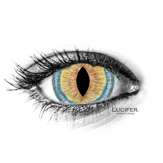 BROWN LIZARD MINI SCLERA Contact Lenses
