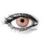 MONET PINK Contact Lenses