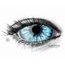 ELF BLUE SCLERA Contact Lenses
