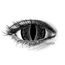 BLACK LIZARD MINI SCLERA Contact Lenses