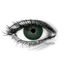 NEW YORK N DEEP GREEN Contact Lenses