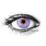 MONET VIOLET Contact Lenses