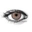 AVATAR BROWN Contact Lenses