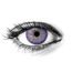 AVATAR VIOLET Contact Lenses