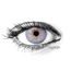 MONET GRAY Contact Lenses
