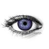 Amazon Violet Colored Contact Lenses (1 pair)