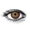 Amazon Brown Colored Contact Lenses (1 pair)