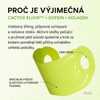 Dr. MELAXIN Lifting maska na spodní část obličeje Cactox Cooling V-UP Mask (1 ks)