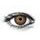 AMAZON BROWN Colored Contact Lenses