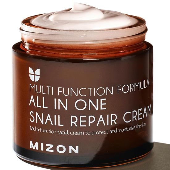 MIZON Pleťový krém Multi Function Formula All In One Snail Repair Cream (75 ml)